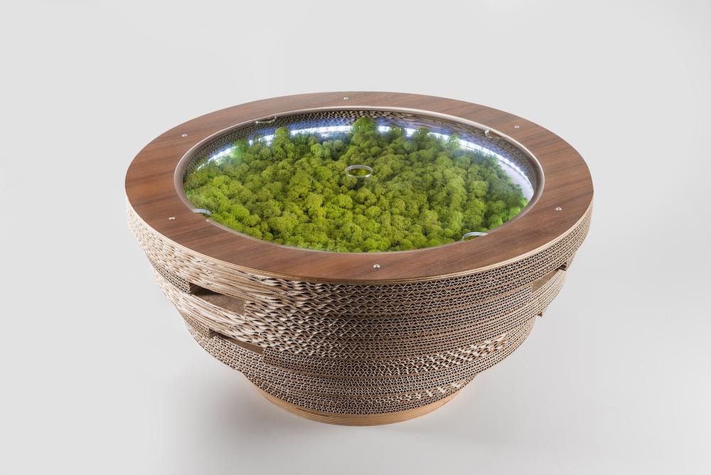 PREZZO SU RICHIESTA - Tavolino Lampada Tappo in cartone con licheni scandinavi veri