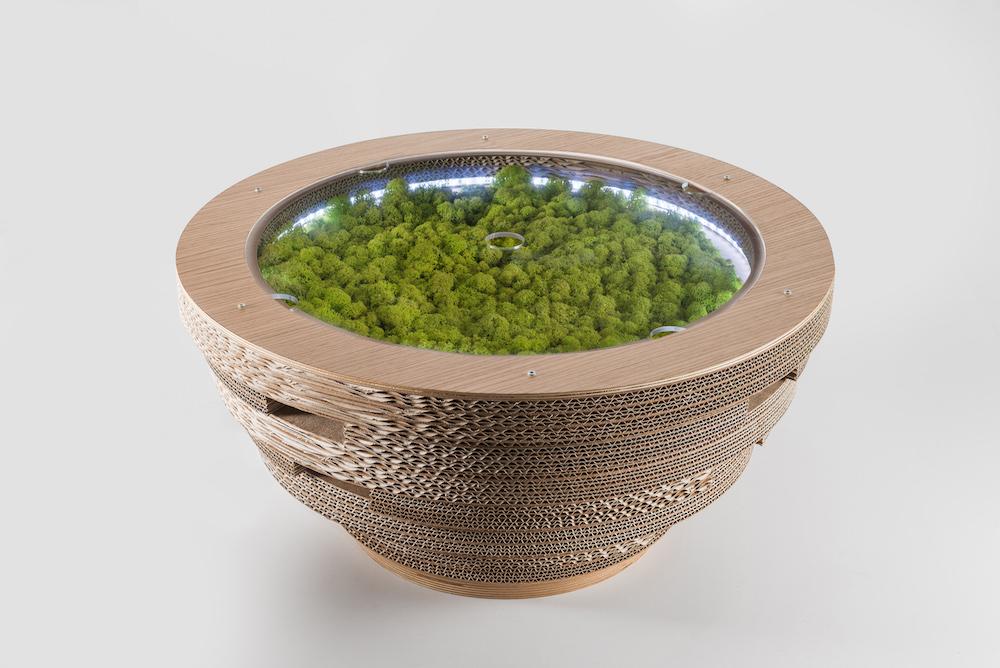 PREZZO SU RICHIESTA - Tavolino Lampada Tappo in cartone con licheni scandinavi veri